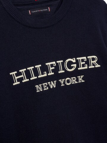 TOMMY HILFIGER Sweater in Blue