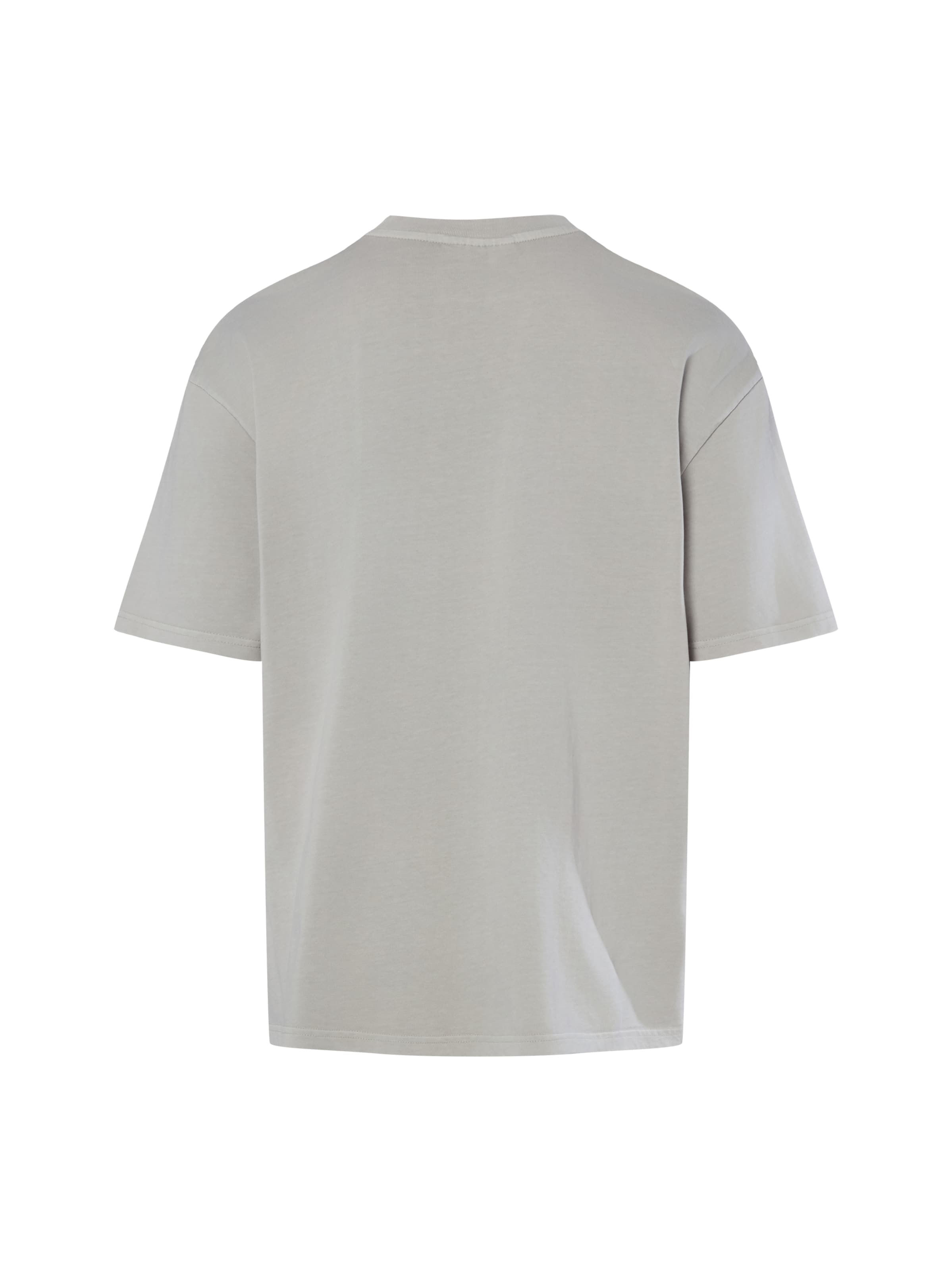 Pegador Shirt in Grijs