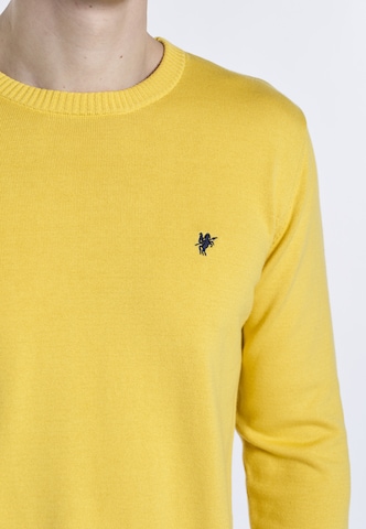 DENIM CULTURE Sweater 'NARCISO' in Yellow