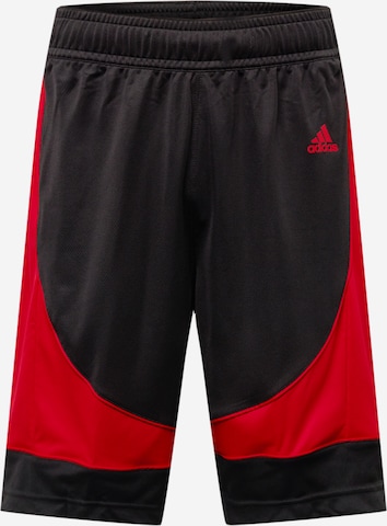 ADIDAS SPORTSWEAR Lużny krój Spodnie sportowe 'N3Xt L3V3L Prime Game' w kolorze czarny: przód