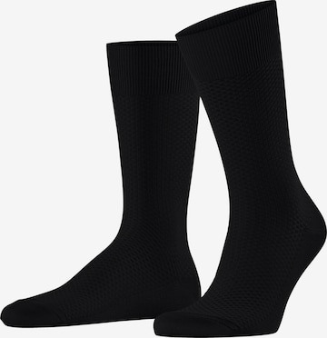FALKE Socks 'Tiago Special Edition' in Black: front