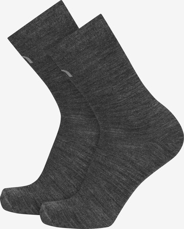 normani Knee High Socks in Grey