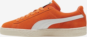 PUMA Sneaker low in Braun: Vorderseite
