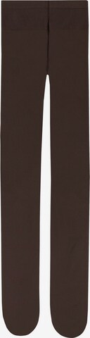 CALZEDONIA Tights in Brown: front