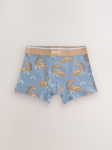 Pantaloncini intimi di Next in colori misti
