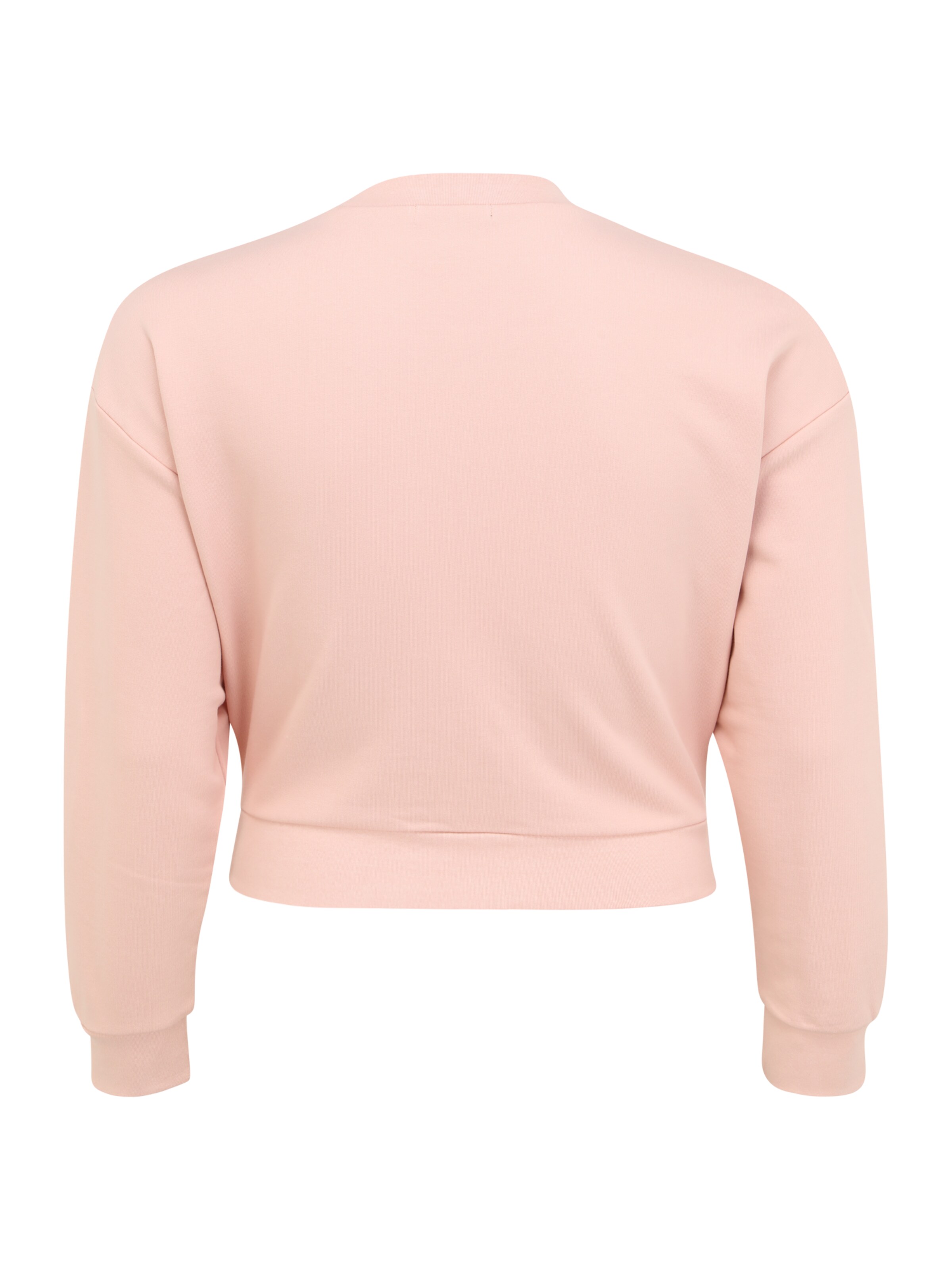 Obey Sweatshirt 'LEON' in Pink