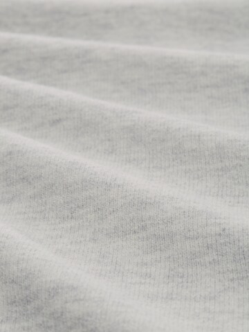 TOM TAILOR DENIM Trui in Grijs