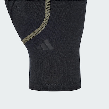 ADIDAS TERREX Sporthandschoenen ' MERINO WOOL' in Zwart