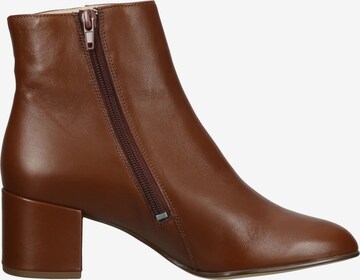 Högl Booties 'Fred' in Brown