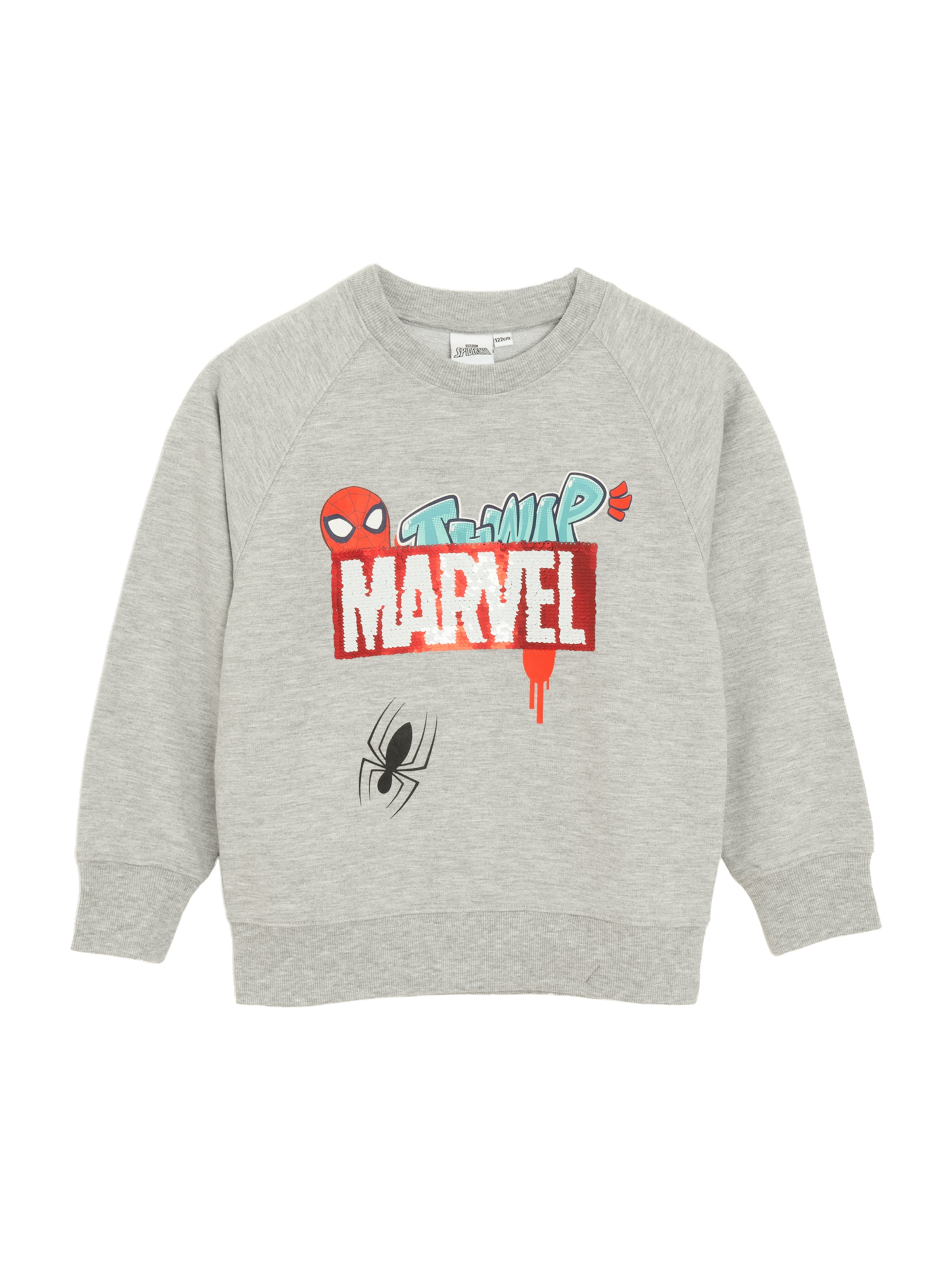 Felpa di Cool Club in grigio: frontale