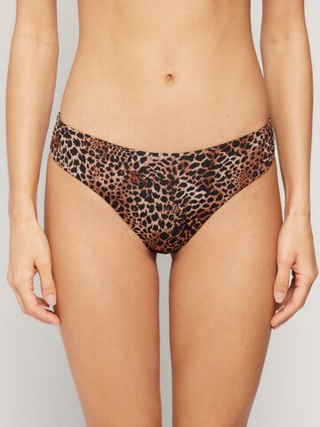 Tezenis Bikini Bottoms in Brown: front