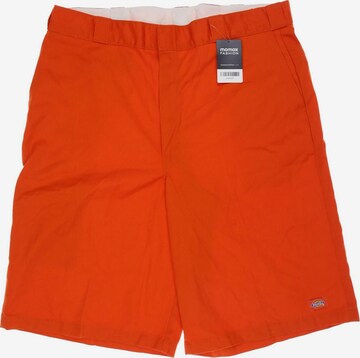 DICKIES Shorts in 40 in Orange: front