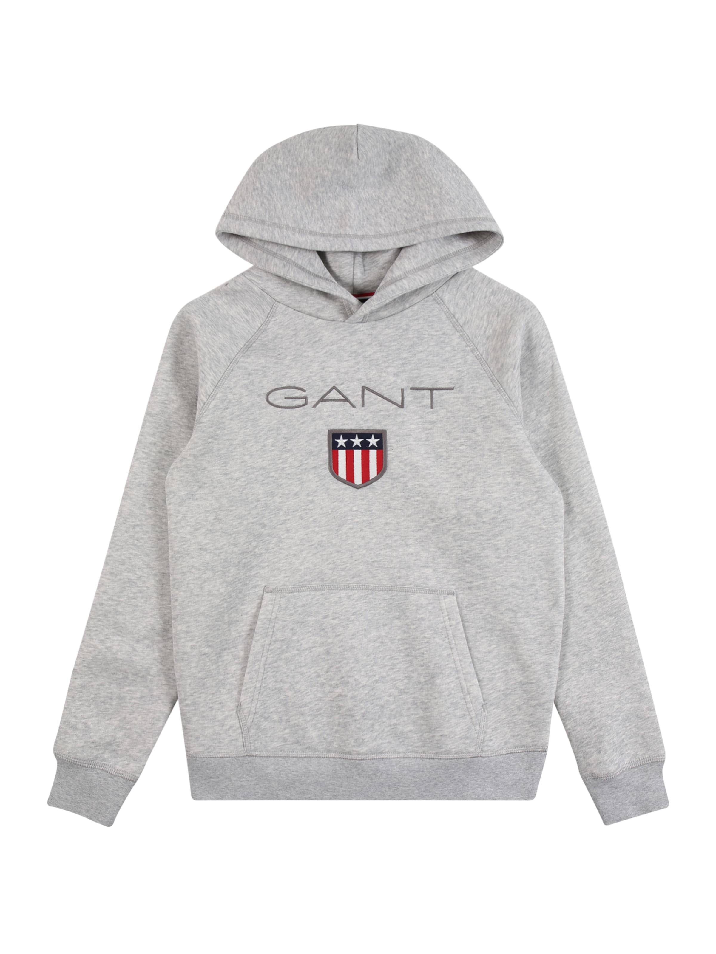 Felpa di GANT in grigio: frontale