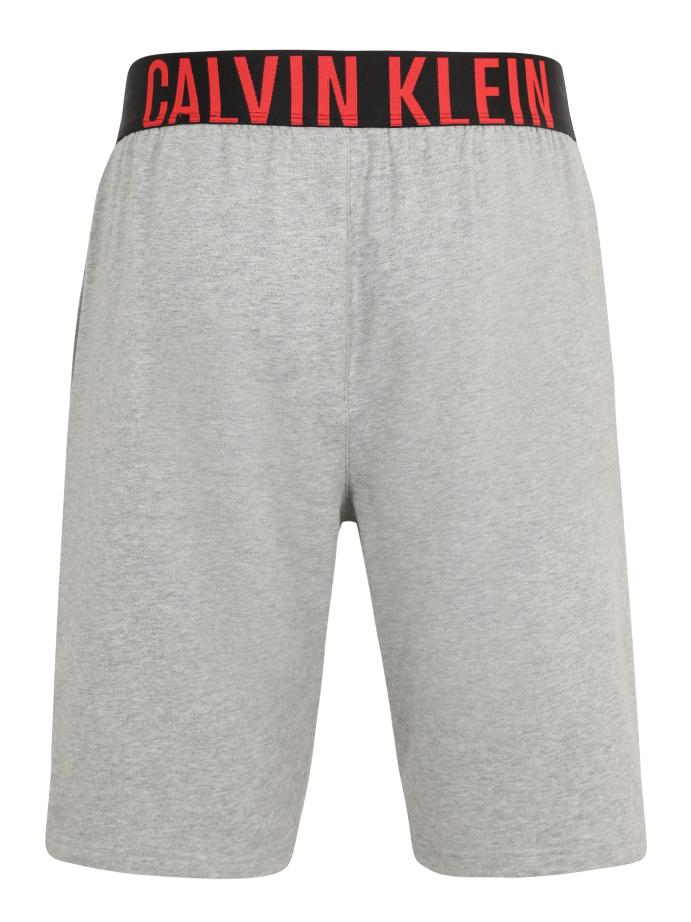 Vêtements Pantalon de pyjama Calvin Klein Underwear en Gris Chiné 