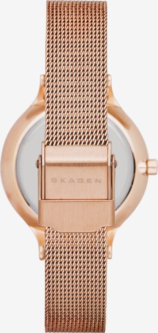 SKAGEN Uhr 'Anita' in Gold