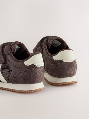 Next Sneakers in Bruin