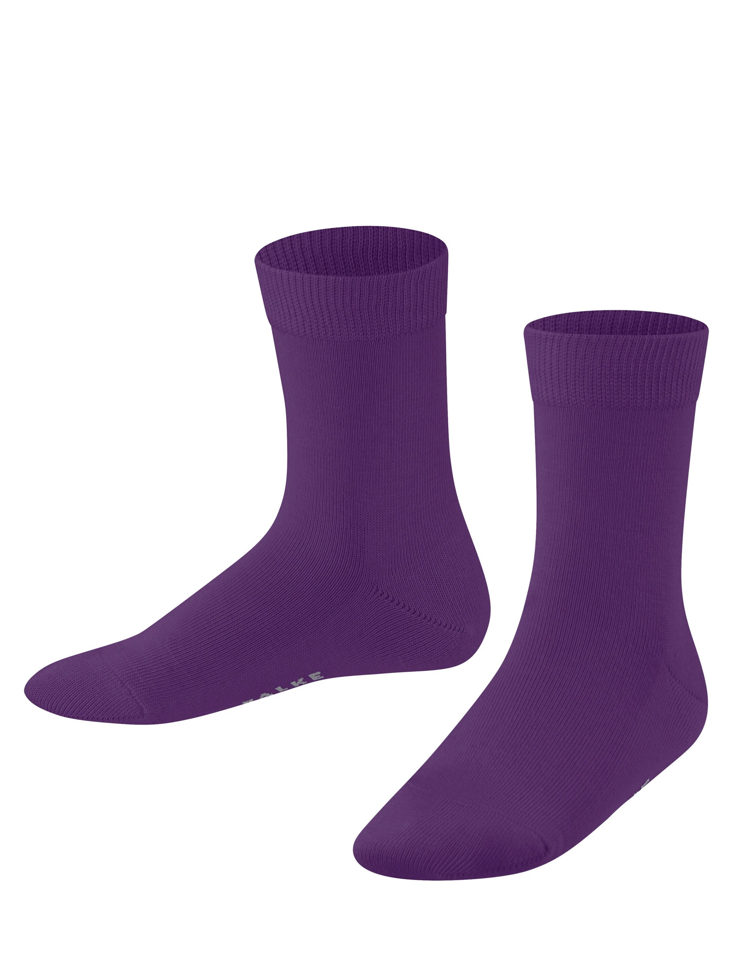 FALKE Socks 'Family' in Purple: front