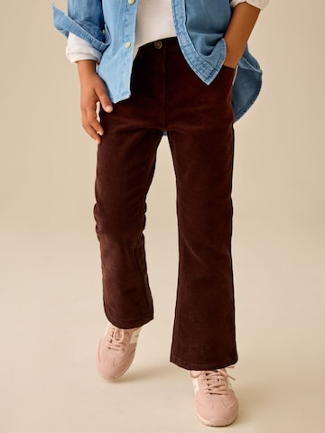 Flared Pantaloni di Next in marrone: frontale