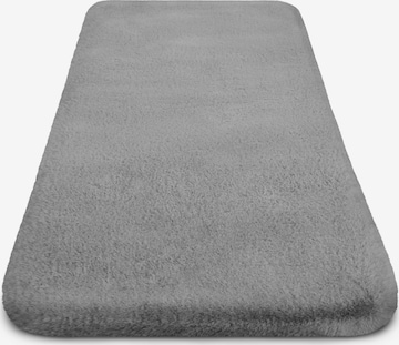 Aspero Carpet in Grey: front