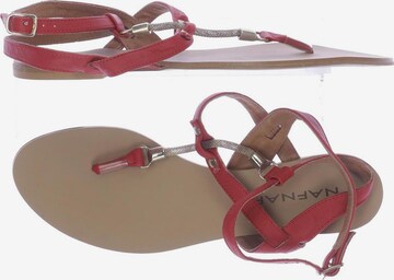 NAF NAF Sandalen 38 in Rot: predná strana