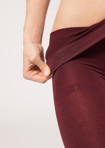CALZEDONIA Strumpfhose 'THERMO' in Rot