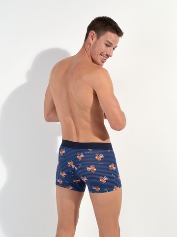 HOM Retro Boxer ' Marinero ' in Blau