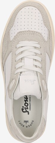 SIOUX Sneaker low ' Tedroso-DA-700 ' in Grau