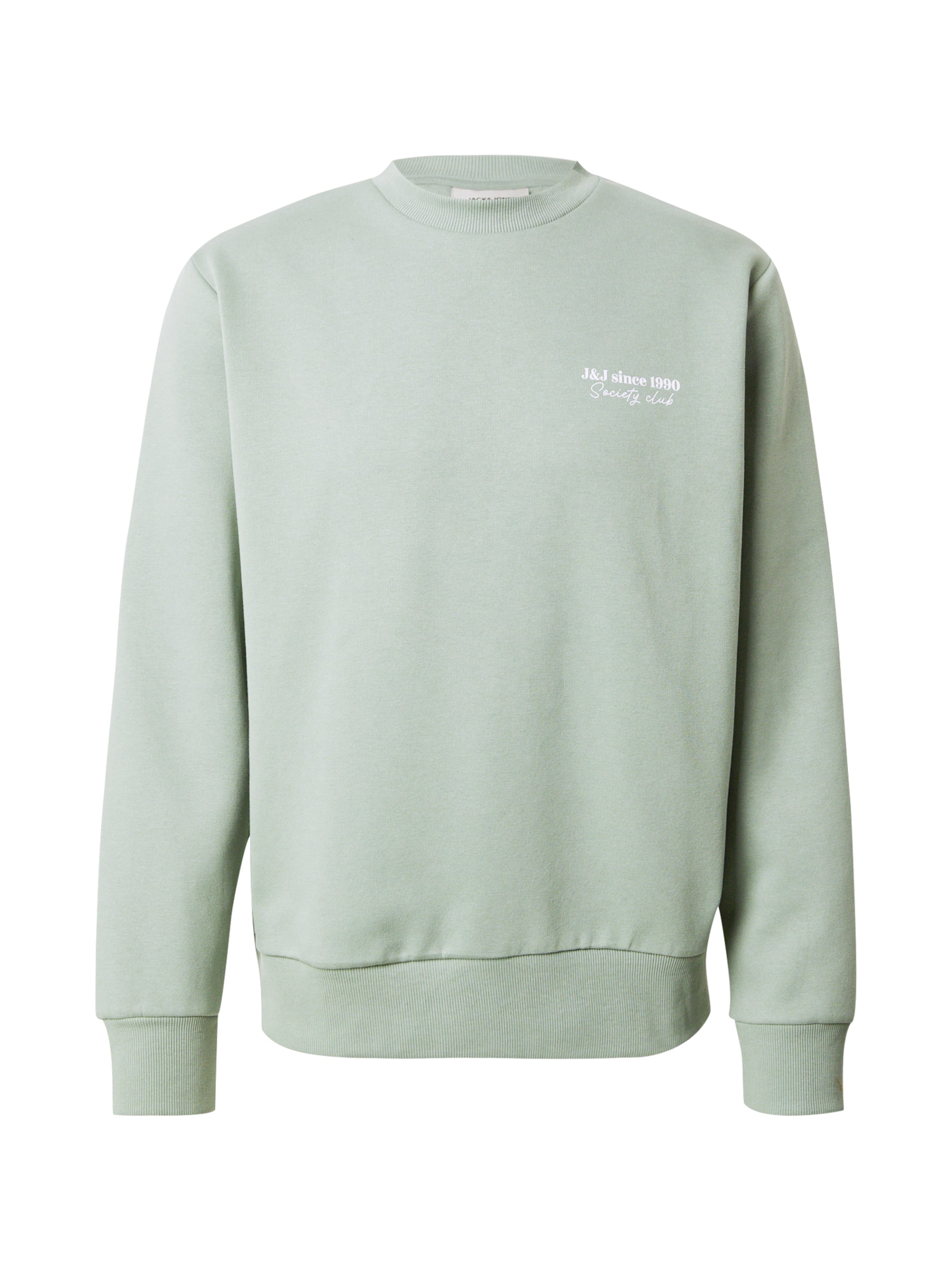 JACK & JONES Sweatshirt 'JJNINETY' in Green: front