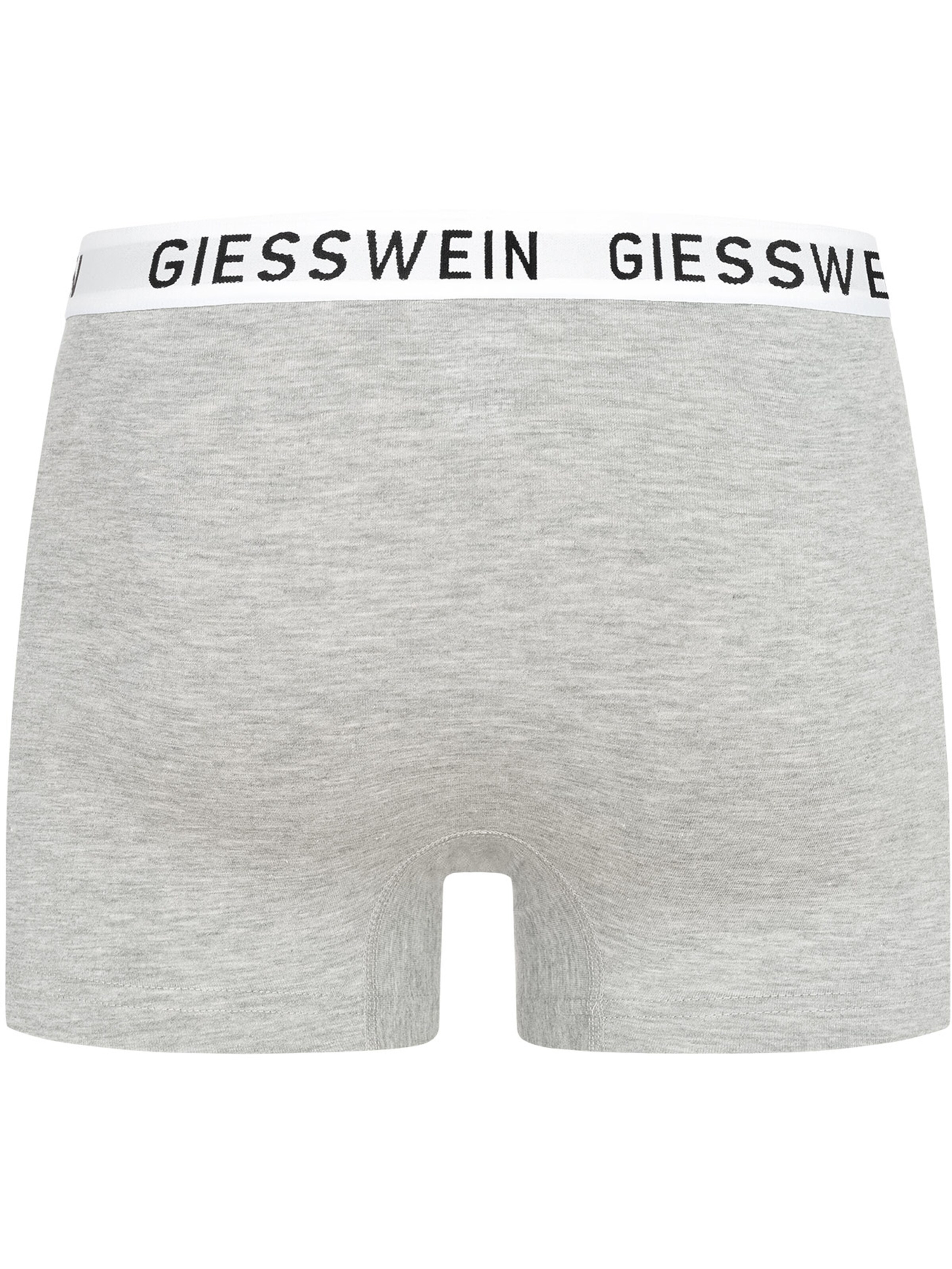 GIESSWEIN Boxer shorts in Grey
