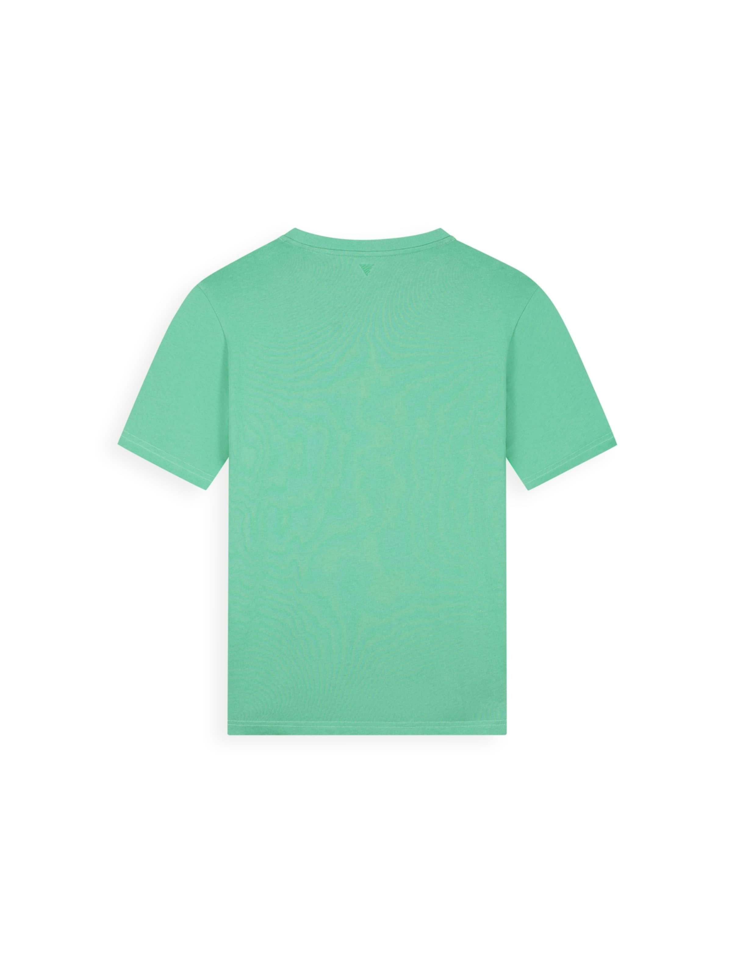 Pure Path Shirt in Groen