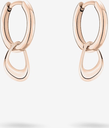 Liebeskind Berlin Earrings in Gold: front