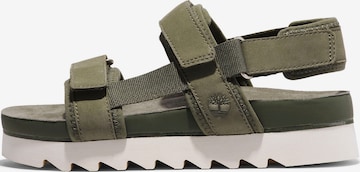 TIMBERLAND Sandals 'Santa Monica' in Green