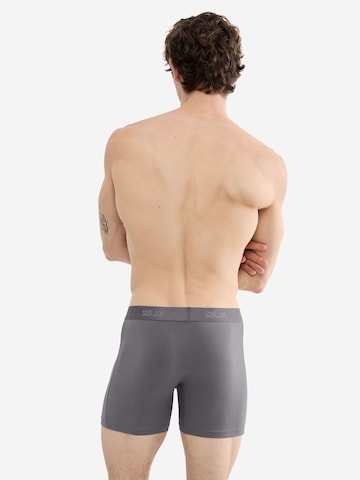 SLOGGI Boxershorts ' SLG Base ' in Grijs