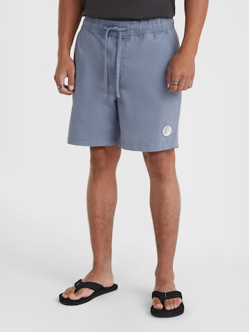 O'NEILL Normalny krój Spodnie 'Og Porter' w kolorze niebieski: przód