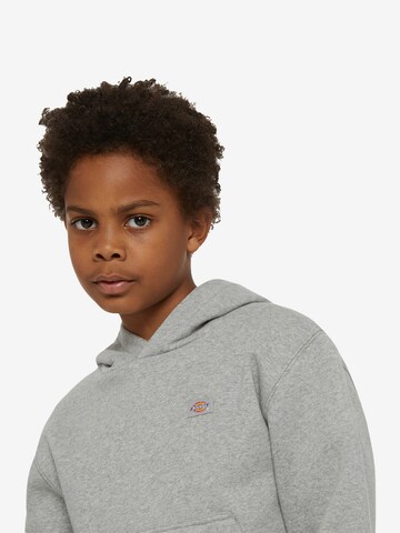 DICKIES Sweatshirt 'Youth Oakport' in Grau