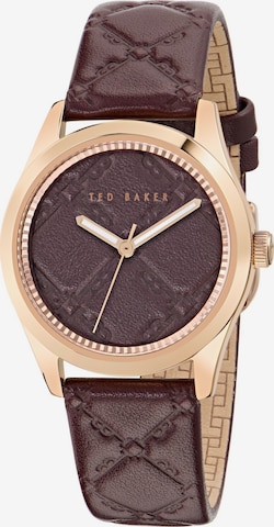 Montre à affichage analogique 'COOLLY ' Ted Baker en marron : devant