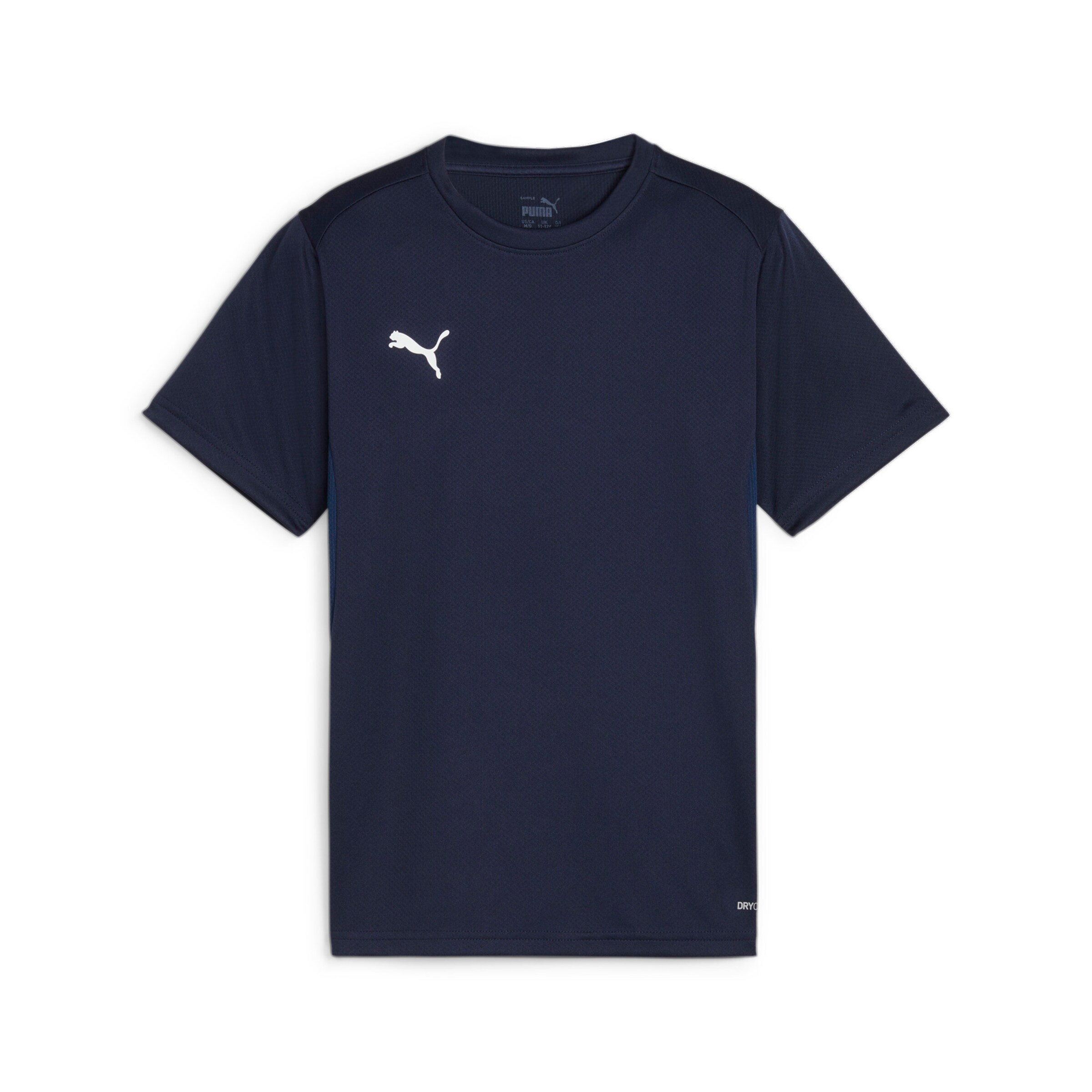 PUMA Funktionsshirt 'TeamGoal' in Blau: Vorderseite
