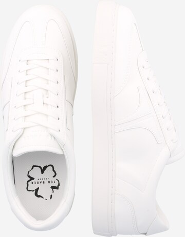 Ted Baker Sneakers 'ROBERTT' in White