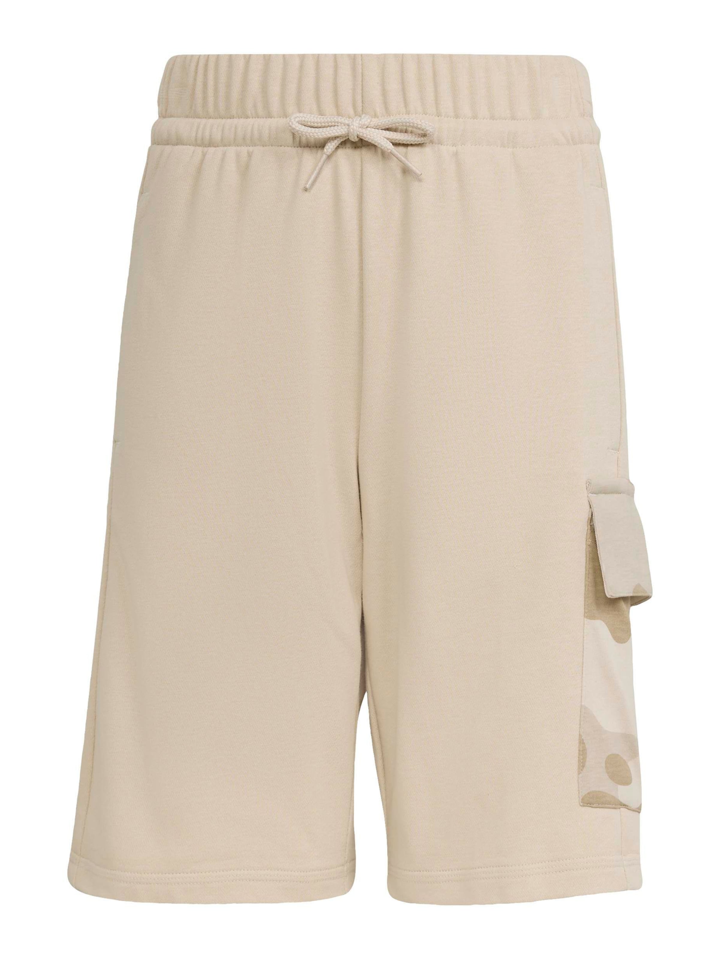 ADIDAS SPORTSWEAR - regular Pantalón deportivo en beige: frente