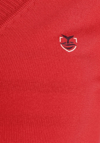 DELMAO Pullover in Rot | ABOUT YOU