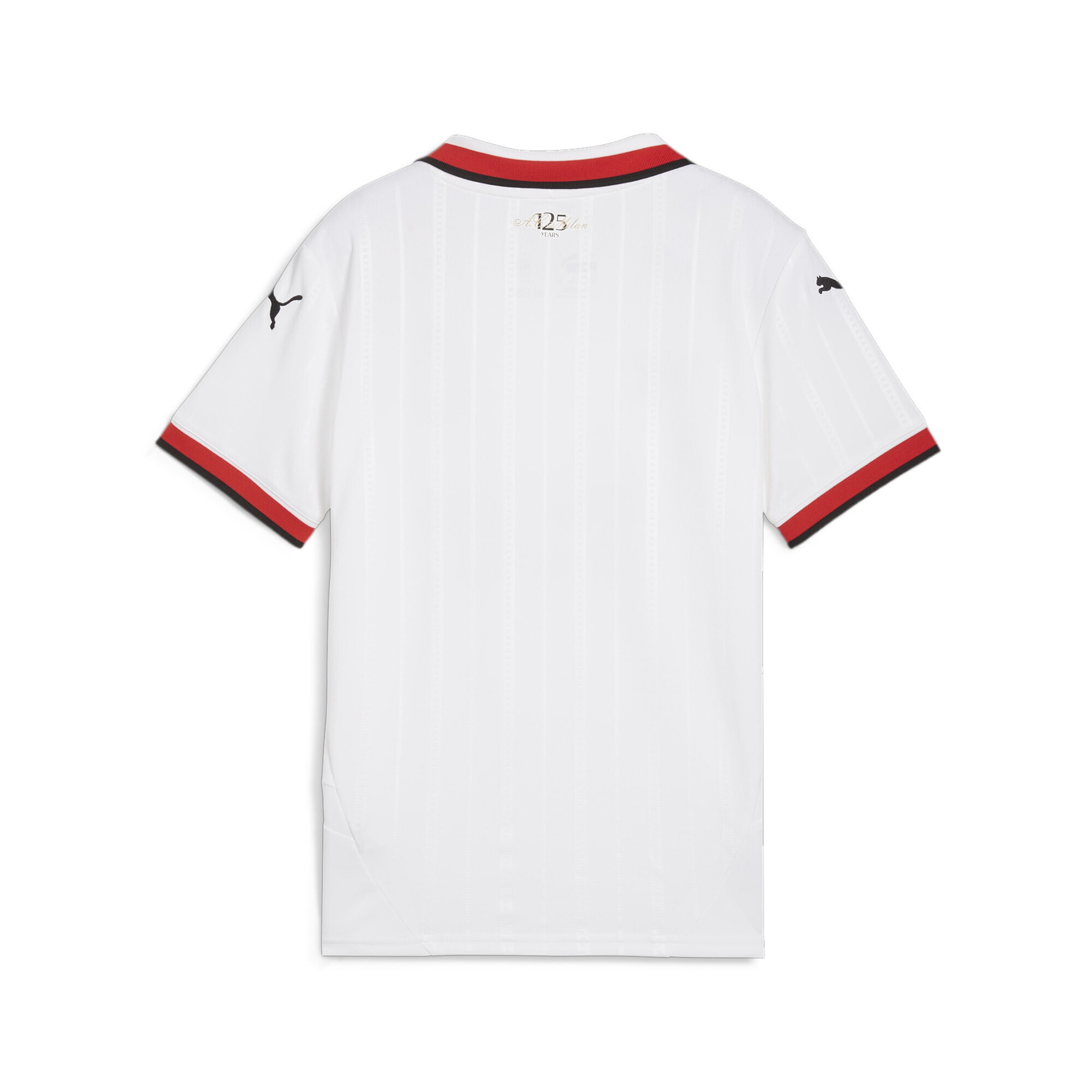 T-Shirt fonctionnel 'AC Milan 24/25' PUMA en blanc