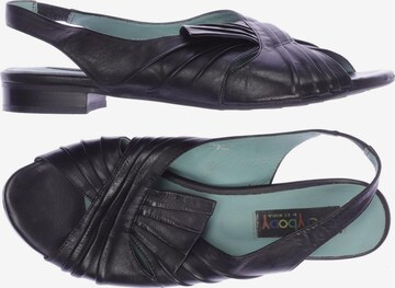 Everybody Sandals & High-Heeled Sandals in 42 in Black: front