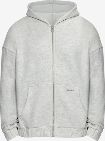 Dropsize Zip-Up Hoodie in Grey: front