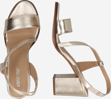 ABOUT YOU Sandalen met riem 'Elanur' in Goud