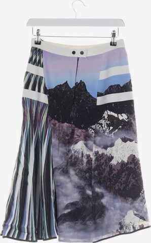 PETER PILOTTO Skirt in XS in Mixed colors