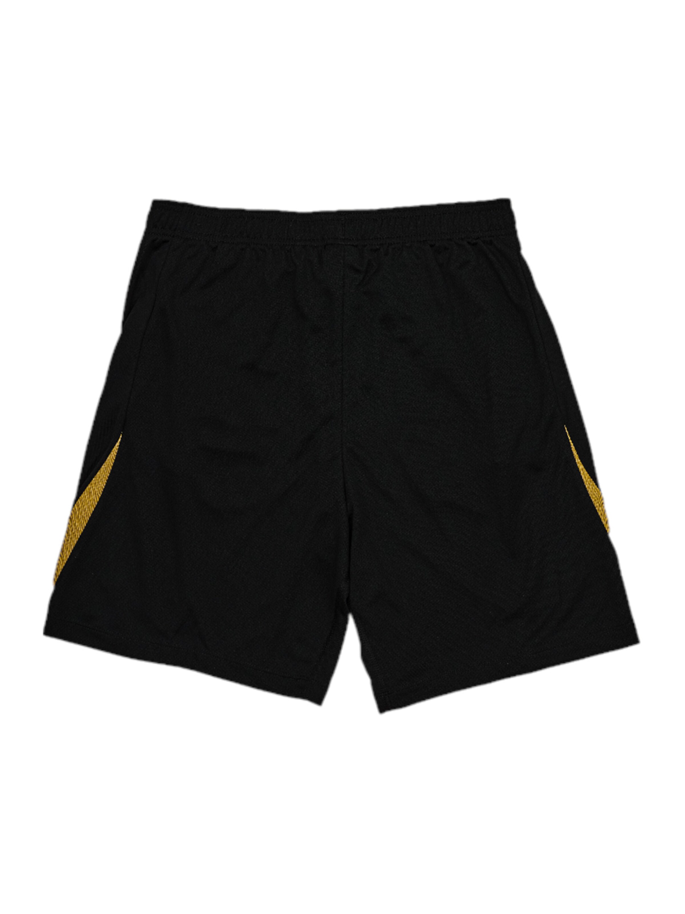 NIKE Regular Sports trousers in Black