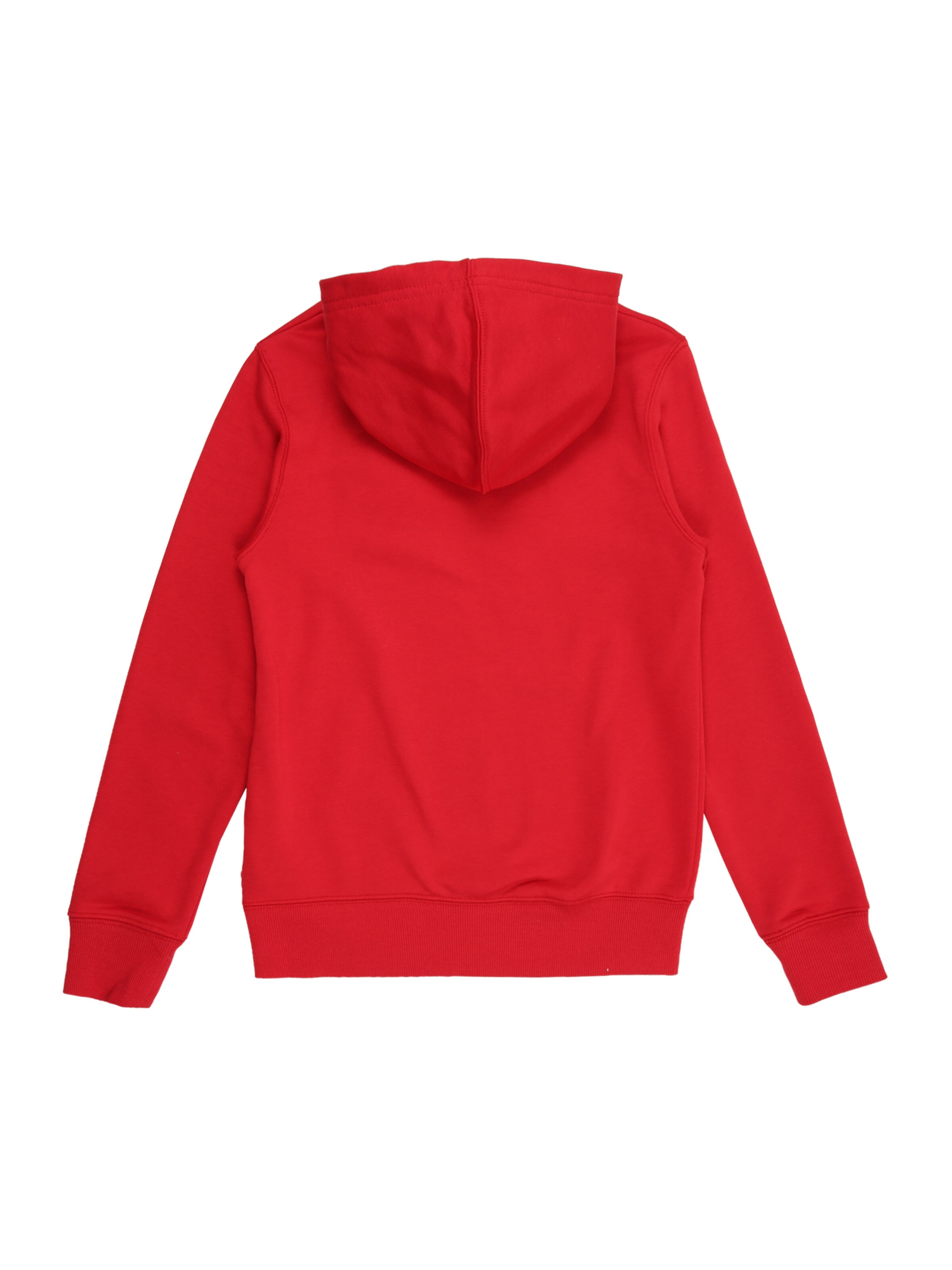 Levi's Kids Sweatshirt 'BARBECUE BATWING' i röd