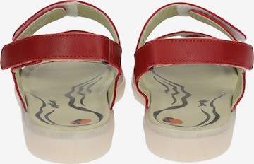 Sandales à lanières Softinos en rouge