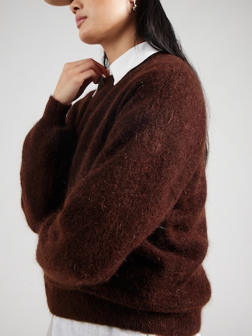 TWNS THE LABEL Sweater 'Westminster' in Brown