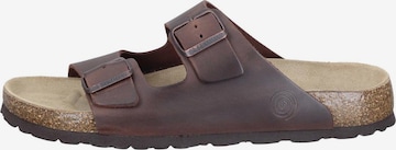DR. BRINKMANN Pantolette 'Bonillo' in Braun: Vorderseite